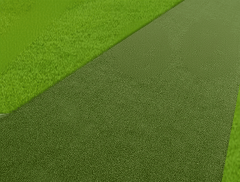 Gorilla Golf Wood Tee Line